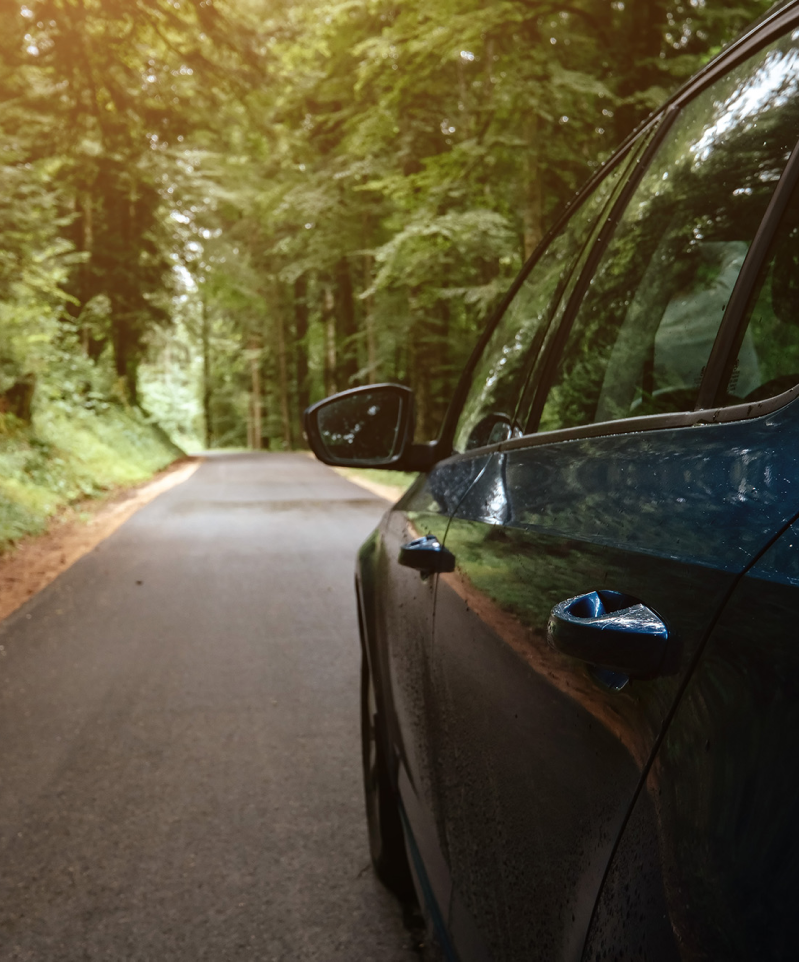 Car in the forest